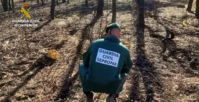 Un pastor investigado por ocho fuegos en Talayuela