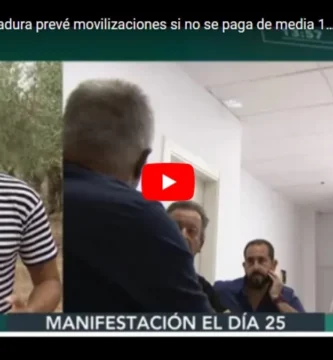 La unión Extremadura prevé movilizaciones si no se paga de media 1,18 € kilo aceitunas