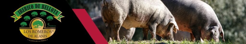 Un accidente en la EX-205 deja dos heridos cerca de Hoyos