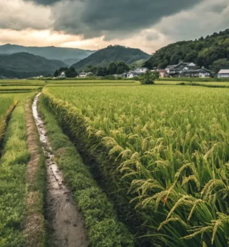 Piden la dimisión de la consejera de Agricultura de Extremadura tras ser descubiertas sus mentira