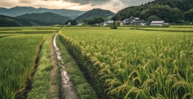 Piden la dimisión de la consejera de Agricultura de Extremadura tras ser descubiertas sus mentira