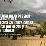 EXTREMADURA BAJO PRESIÓN: La Alerta Sanitaria de la Peste Porcina se Cruza con la Batalla Final por el 21D y la Demanda Laboral